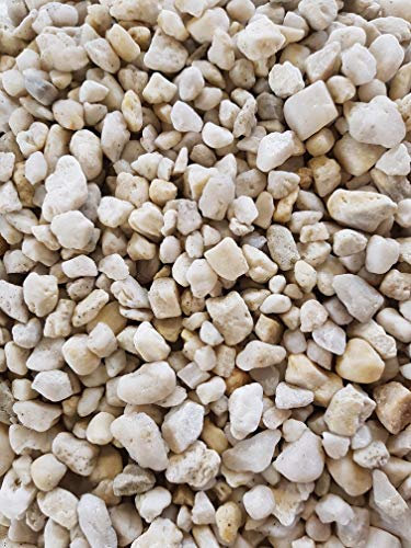 Der Naturstein Garten Alwe Weißer Quarzkies 8-16 mm - 25 kg, Naturstein, besonders widerstandsfähig für Garten, Wege, Aquarien und dekorative Beete