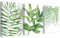 BINCUE 3 piezas lienzo imágenes plantas murales plantas verdes imagen acuarela hojas verdes cuadros cuadros para dormitorio decoración moderno juego de pared decoración salón verano verde planta