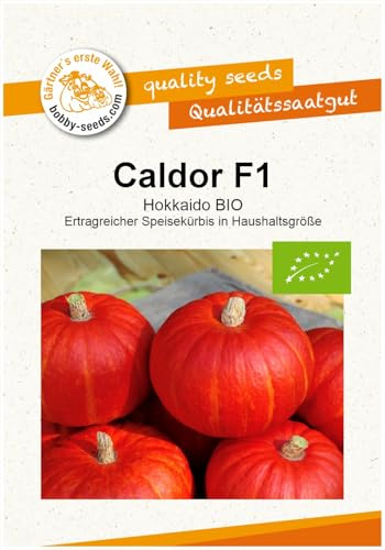 Bio-Kürbissamen Caldor F1 Speisekürbis Portion