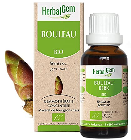 HERBALGEM - Macérât-Mère - Bouleau Bio - Complément Alimentaire Gemmothérapie Concentrée - Extrait De Bourgeon Frais - Pour Drainage, Détox & Minceur - Vegan - 30 ml