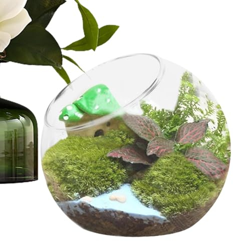 Vaso di vetro rotondo inclinato - Vasi tondi in vetro con taglio inclinato | per pesci, centri di fiori, terrari, vasi da fiori, vasi idroponici per centrotavola