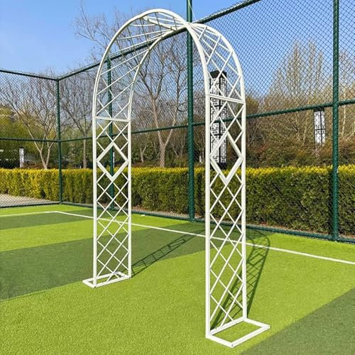 QYANPEN Arco de jardín de Metal, Enrejado para Plantas trepadoras, cenador Negro para jardín, pérgola de Metal con Arco de Rosas y Enrejado, Ancho 140/180/220/260/300 cm (Blanco, 1,4 x 2,3 m/4,6 x 7