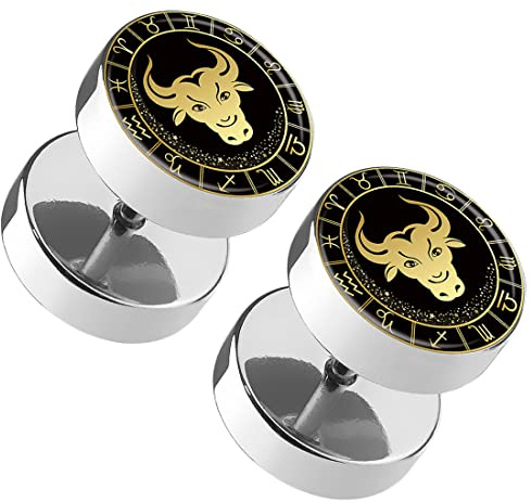 Taffstyle 1 Paar Fake Piercing Ohrringe Plug mit Tierkreiszeichen