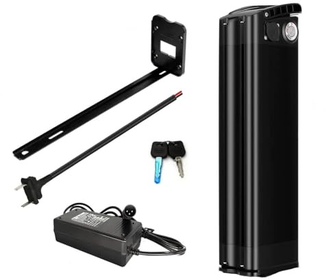 ZHIKAN E-Bike Pedelec-batteri 48 V 15,6 Ah, för MiFa Rex Prophete Aldi-cykel, kan passa Phylion/XH370-10J med laddare, lämplig för motorer 250 W/350 W/750 W/1000 W