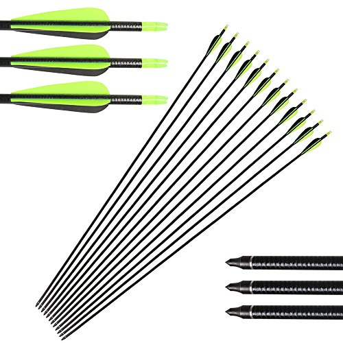 Huntingdoor 12 pièces Flèches de Chasse Tir à l'arc 32 Pouces flèches en Fibre de Verre avec Embouts Amovibles flèches de ciblage pour Arc Classique Arc à Poulies Arc Long du tir d'entrainemen (Vert)