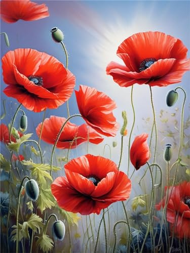 Diamond Painting Erwachsene, Rote Mohnblumen 5D Malen Nach Zahlen Erwachsene Diamant Painting Bilder Kinder, Mosaik Bastelset Kinder Diamond Painting Weihnachten für Geschenk Home Dekor(30x40cm)-7M