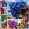 500 Graines D'Ipomée à Feuilles Colorées, Plante Grimpante Décoratives, Graine Fleurs Exterieur, pour Balcon, Jardin, Cour, Arche, Morning Glory