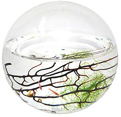 EcoSphere slutet vattenekosystem, kula 10 cm