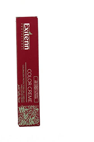 Exitenn color cream 60 ml, color silver