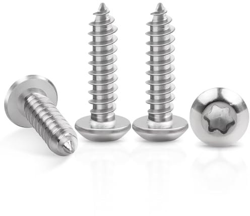 50 Stück Blechschrauben M5 x 25 mm, Leryati Edelstahl Flachkopf mit Scheibe Torx Schrauben, A2 V2A Holzschrauben Linsenkopf Vollgewinde, Selbstschneidende Schrauben Rundkopfschrauben Silber