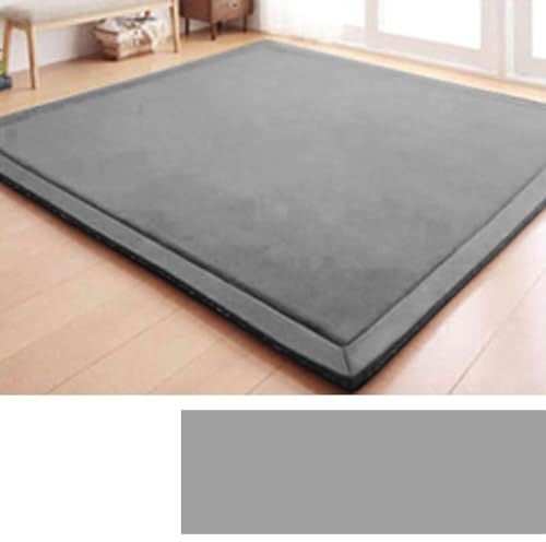 DSSHENGDS Alfombra de Sala de Alfombra Suave Lavable Moderna, Antideslizante.Manta de Juegos Alfombra Yoga,Ejercicio y Gateo De Terciopelo Coral Grueso Moderna 2cm-C-60 * 100cm