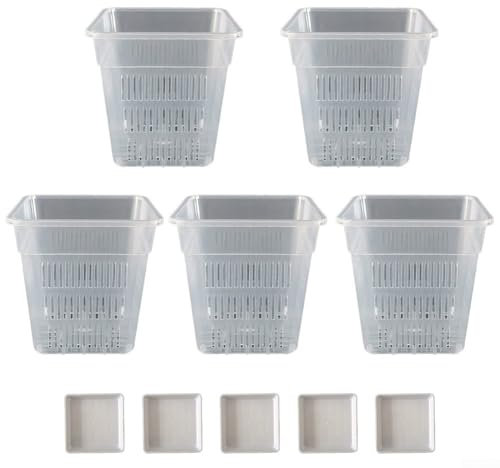 Yhenlovtt Juego de macetas cuadradas transpirables para orquídeas con bandejas, flor transparente de observación de raíces para Phalaenopsis, contenedor de plantas antipudrición antirootación