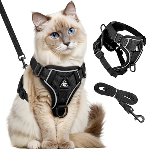 GlasFlength Katzengeschirr mit Leine Ausbruchsicher, Katzenleine mit Geschirr für Katzen Verstellbar Katzen Geschirr Set Cat Harness Softgeschirr für Katze mit Reflektierenden Streifen (Schwarz-M)