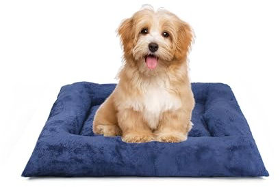 BESCH Cama Colchoneta para Perros Gatos 60x40cm Base Antideslizante y con Cremallera Lavable, Colchón Acolchada Transpirable para Mascotas Pequeñas, Medianas y Grandes (Azul)