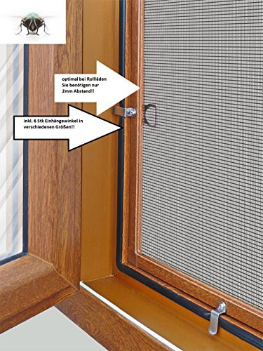 Fliegengitter Fenster, für Rolladen, Insektenschutz, Material Goldeiche, Gitterfarbe Grau | 100x120cm & 22mm Winkel