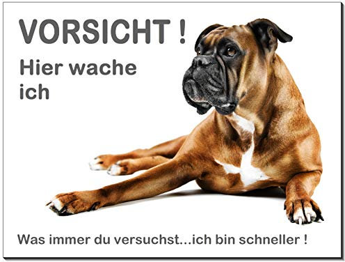 Desi-Schilder Boxer-Schild-Hund-Aluminium-Schild-3 Größen-Türschild-Warnschild-Hinweisschild-Hundeschild-35 (1451-17 - 300 x 200 x 2 mm mit Klebepats)