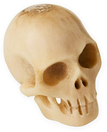 Fly Style Totenkopf Kettenanhänger - Memento Mori Miniatur - Handarbeit aus Hirschhorn, Größe:S
