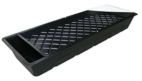 Nutriculture NFT GT604