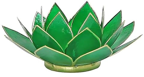 Capiz Lotus Licht grün 4e Chakra Goldrand - 13.5 cm