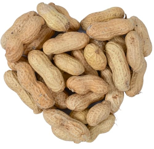 Lyra Pet® 10 kg Erdnusskerne in Schoten Erdnüsse in Schale HK Argentinien | Wildvogelfutter Ganzjährig - Reich an Fetten & Ballaststoffen - Energiereiches Futter für Wildvögel & andere Wildtiere