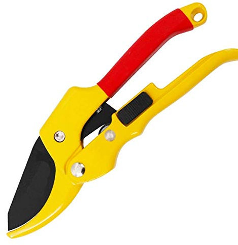 Cesoie da potatura manuali a cricchetto, cesoie da potatura professionali con lama in acciaio SK-5 affilata, cesoie da giardino, cesoie per meno sforzo