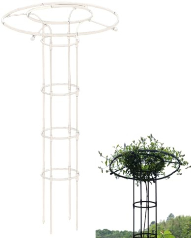 Treillis pour plantes grimpantes, grands obélisques de jardin en métal pour plantes grimpantes, treillis pour plantes en acier d'intérieur, treillis de bricolage pour fournitures de jardin extérieur(W