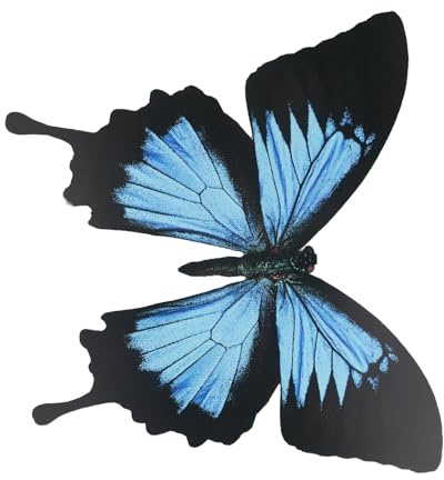 JoyousMall Adesivi murali 3D a forma di farfalla, 26 cm, grandi decalcomanie in PVC per decorazione giardino e casa, per interni ed esterni, resistenti alle intemperie, facili da staccare e attaccare