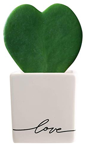 Costa Farms Live Mini Aloe Vera Indoor Plant, Easy Care Succulent in Modern Love Ceramic Planter, 5-Inches Tall, Small Houseplant for Plant Shelf or Desk, Birthday Gift or Room Decor