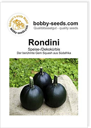Rondini - Gem Squash Kürbissamen von Bobby-Seeds Portion
