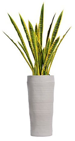 Vintage Home Artificial Snake Plant Grüne Smaragd künstliche Schlangenpflanze Sansevieria Pflanze mit weißem Fiberstone Übertopf für Heimdekoration, 56
