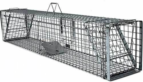 Holtaz Hardy Super Starke Falle Marderfalle Katzenfalle Fuchsfalle Biberfalle Tierfalle Kastenfalle Drahtfalle Waschbärfalle 2 Türen, Größe: 180x34x34 cm Mit Extra Köder