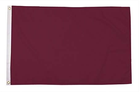 AZ FLAG Drapeau Unicolore Marron 150x90 cm Polyester 100D 2 Œillets | Usage intérieur et extérieur Drapeau décoratif de couleur blanche coutures doubles et bords renforcés