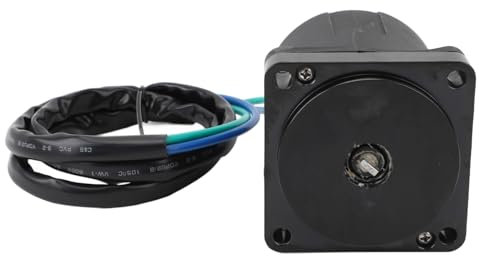 Marine-Außenbord-Trimm-Kippmotor, Trimm-Kippmotor, 434495 Drähte, Perfekte Abdichtung, Außenbord-Trimm-Kippmotor für 50 70 90 115 Bis 225 PS Außenbordmotor, 12 V