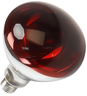 LISOCLU Reptilien-Heiz lampe Brooder 110v-leistungs starke 250W Basis E26 Glühbirnen für Küken-, Haustier-und Vieh isolierung in Terrarium!(250W/D)