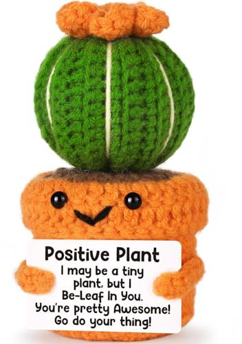 Divertido cactus positivo de ganchillo con apoyo emocional, inspirador, agradecimiento, regalos de graduación para sus profesores, pequeño cactus hecho a mano para mujeres, adolescentes, amigos