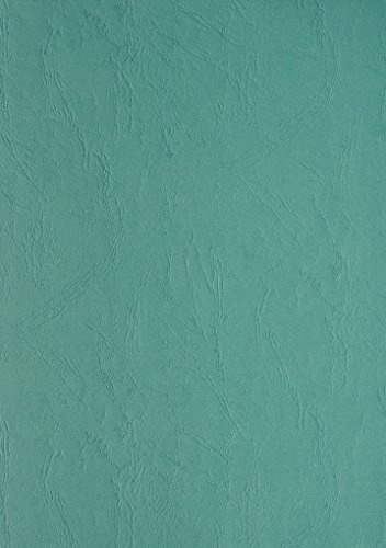 Clairefontaine 2774C Lot de 100 feuilles de couverture en carton avec dos en cuir Vert d'eau Format A4 240 g/m²