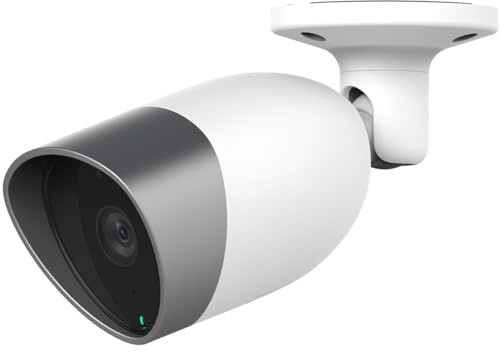 Blurams Outdoor Lite 1080p FHD Cámara de Vigilancia en Domo Exterior para el Hogad