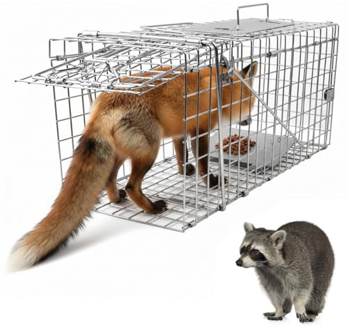Live Animal Cage Trap, 37 x 13 x 14.5 Humane Cat Trap