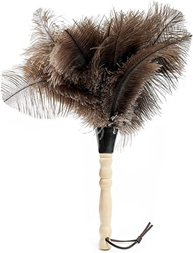Ensemble plumeau poussière de nettoyage à domicile plumeau plumeau dépoussiérant plumeau plumeau plumeau plumes douces plumeau meubles poignée plumeaux brosses