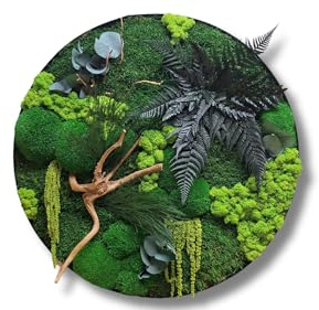 HelloMoss Moosbilder mit Rahmen 40cm - Moosbild XXL mit Island Moos Konserviert - Luxus Deko für Ihr Zuhause - Mooswand Deko Wohnzimmer Groß