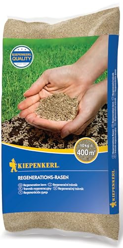 Rasensamen - Regenerations-Rasen 10 kg von Kiepenkerl