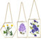 SUMTree 3Pcs Bilderrahmen aus Glas Metall Hängende Glas Fotorahmen Pflanze Probe Clip Durchsichtig für gepresste Blumen Foto Nur Glasrahmen 13 x18cm(Golden,Rechteck+Sechseck+ Achteck)
