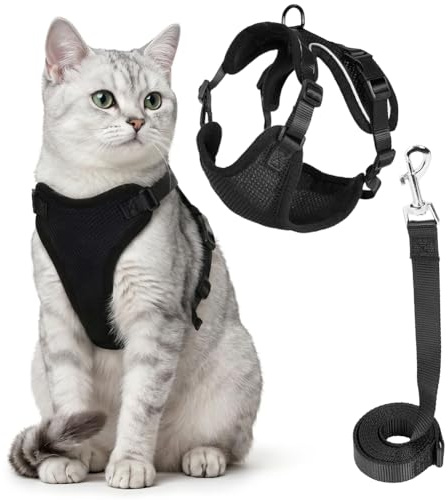 Aolso Kattsele och blyuppsättning, justerbart flyktsäkert kattkoppel för promenader, reflekterande kattunge sele-set, mjukt och bekvämt, kattkoppel för utomhusresor, svart, M