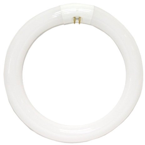 60W 240V G10q Cap Circular Fluorescent Tube 406mm Diameter