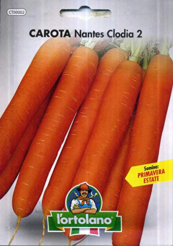 L'ORTOLANO Sementi Orticole Di Qualità In Busta Termosaldata (160 Varietà) (Carota Nantes Clodia 2)