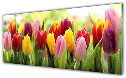 Tulup Acrylic Glass Print 125x50cm Wall Art - Wall Picture Plastic Acrylic Glass - Tulips Floral