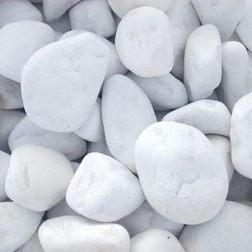 Vegara Stone Piedra Jardín Decoración Canto Rodado Blanco Puro (2, 1,5-2,5 cm)