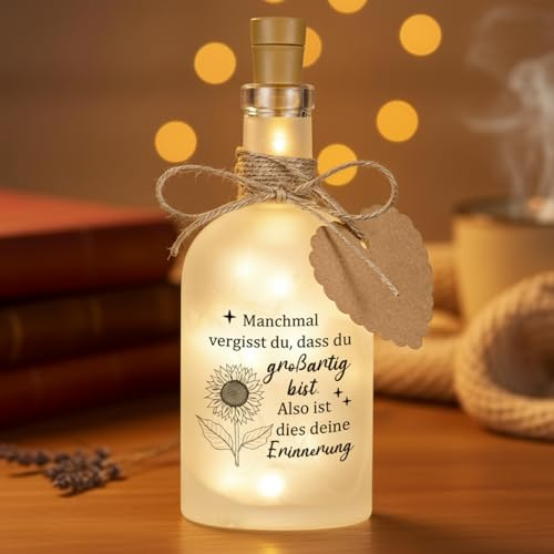BBTO Abschiedsgeschenk Kollegen LED Flaschenlicht Geldgeschenk inspirierende Geschenk Lichterkette LED Deko Geld Verpackung Dankeschön Geschenk für Kollegin Mitarbeite Abschied Jobwechsel Ruhestand