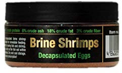 Discusfood Artemia/Brine Shrimps Decapsulated Eggs 65g, Artemia-Eier ohne Schale, decapsuliert, optimales Jungfischfutterr