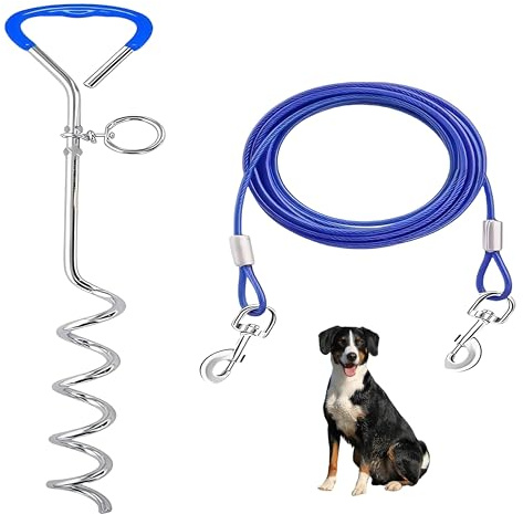 Piquet de pose pour chien avec laisse de 3 m, ancrage solaire pour extérieur, bleu